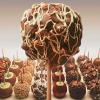 Photo for Li-Lac Chocolates