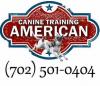 Photo for American Canine Training and Dog Boarding Las Vegas Nevada