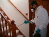 Photo for Pest Control Pros NYC
