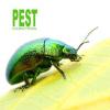 Photo for Best Miami Pest Control Service