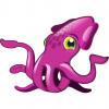 Photo for Squidix, LLC