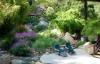 Photo for Pacific Landscaping