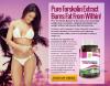 Photo for Pure Forskolin Extract