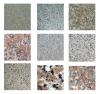 Photo for Holy marble | Jerusalem lime stone
