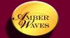 Photo for Amber Waves African Pygmy Goats