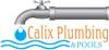 Photo for Calix Plumbing & Pools LLC