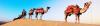 Photo for Rajasthan Tours