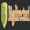 Photo for Bigdirectori
