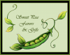 Photo for SweetPea Favors & Gifts