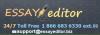 Photo for Essay Editor