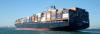 Photo for Professional Packers and Movers