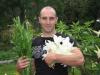 Photo for Masticating Juicers Review