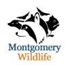 Photo for Montgomery Wildlife Removal