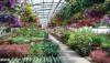 Photo for Way To Grow Denver