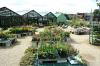 Photo for Way To Grow Boulder