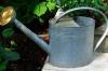 Photo for Cultivate Hydroponic & Organic Garden Center
