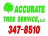 Photo for Accurate Tree Service & Stump Grinding