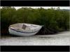 Photo for Ponce Inlet, Florida - Community Video