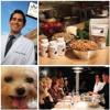 Photo for Just Food For Dogs