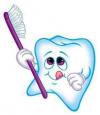Photo for Brandon Braud DDS