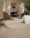 Photo for Best Gilbert Carpet Cleaning