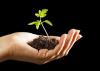 Photo for Cultivate Hydroponic & Organic Garden Center