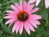 Photo for ARTS in BLOOM - Studio & Gallery Tour