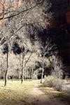 Photo for GRProductions Video, Fine Art, Web Design, Graphic Design