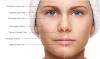 Photo for Phytoceramides:Protection For The Skin