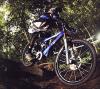 Photo for Cycle Trading Company