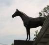 Photo for The TOLL BOOTH Saddle Shop