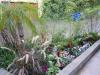 Photo for Landscape Design Los Angeles