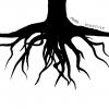 Photo for roots2grow - new market strategy consulting