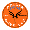 Photo for The Rallye Aïcha des Gazelles du Maroc, The Moroccan Off-road Rally for Women Only