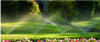 Photo for Sprinkler Repair Plano