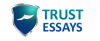 Photo for Trust Essays - Delivering Excellence