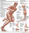 Photo for Shepard Pain and Performance Care
