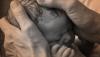 Photo for Birth Song Midwifery Services