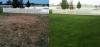 Photo for Lawn Doctor of Wayne