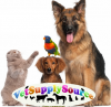 Photo for Vet Supply Source