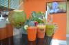 Photo for Guarapo Organic Juice Bar - 36th Street