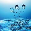 Photo for Water Systems of Alabama