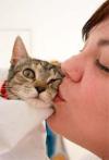 Photo for Humane Society of Greater Miami North