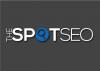 Photo for The Spot SEO