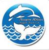 Photo for Newport Landing Whale Watching