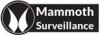 Photo for Mammoth Surveillance Camera Systems
