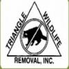 Photo for Triangle Wildlife Removal & Pest Control Inc