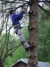 Photo for Tree Care in Bucks