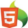 Photo for Professional HTML5 mobile application development company