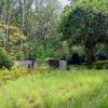 Photo for Jeffrey Carbo Landscape Architects